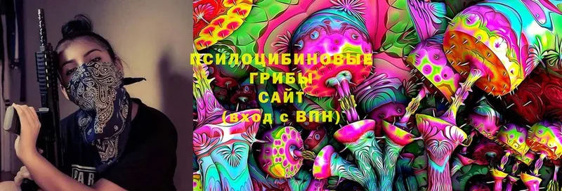 хочу наркоту  Грязовец  Псилоцибиновые грибы Magic Shrooms 